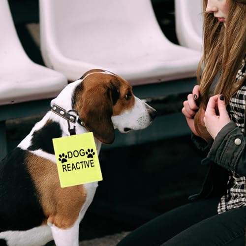 Patch chien réactif-D à suspendre pour l'alerte réactive - 8