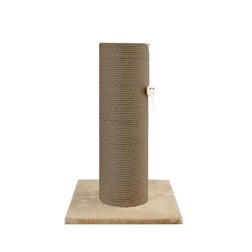 R ܂Ƃ a20cm gȒP u XgX t |[ (Ǔꊪ/L)