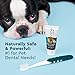 RADIUS USDA Organic Dental Solutions Puppy Kit 1 Unit, 1 Dog Toothbrush & 1 0.8oz Toothpaste, Ultra Soft Bristle & Non Toxic Toothpaste for Dogs, Designed to Clean Teeth, Xylitol Free