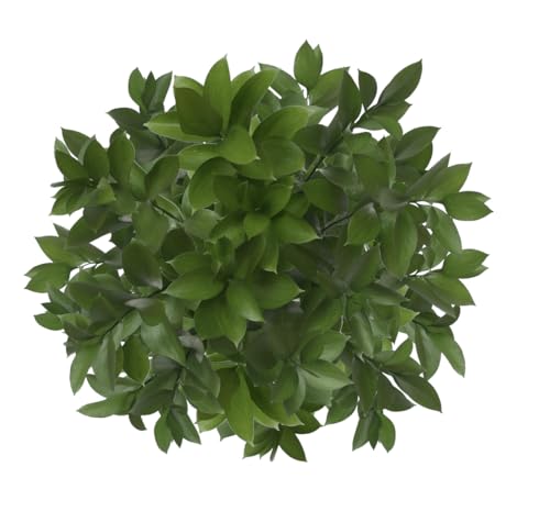 GlobalRose 100 Ruscus Stems