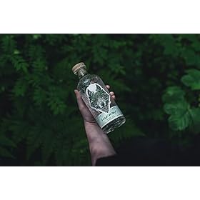 Lonewolf Mexican Lime The Following are some examples on how to start: Cactus Gin 70cl