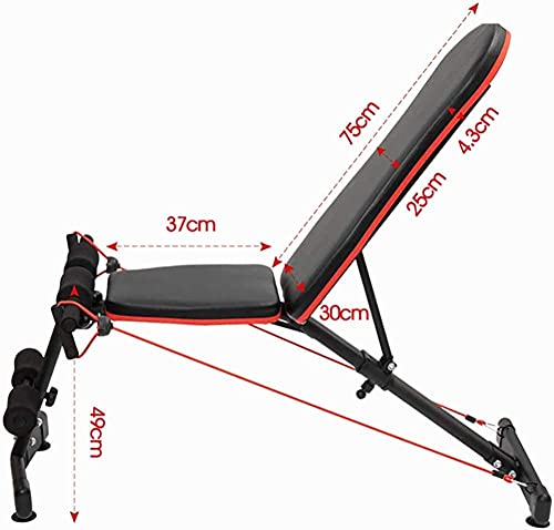Using Adjustable Dumbbell Bench for Core Training