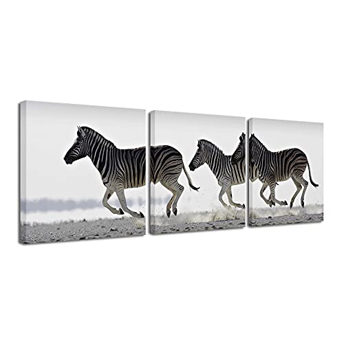 Pyradecor Zebra Canvas Prints Wall Art Black And White Animals Pictures Paintings For Living Room Bedroom Bathroom Home Decorations 3 Piece Modern Stretched And Framed Giclee Horse Artwork #TOP19