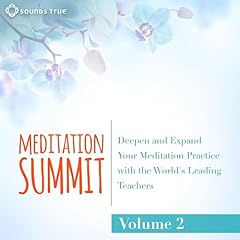 The Meditation Summit: Volume 2 Audiolibro Por Tara Brach Ph.D., Richard Miller PhD, Rev. Angel Kyodo Williams, Joseph Goldstein, Pema Ch&ouml;dr&ouml;n, Shinzen Young, Lama Surya Das, Adyashanti, Anakha Coman, Thich Nhat Hanh arte de portada