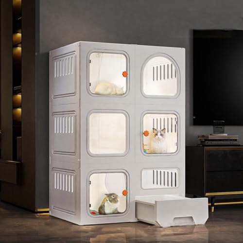 LP[W3i ^ADIYLpN[gvCyAotybgz[LpBLpgC{bNXA^ꏬnEXpLp͂izCgj(zCg)