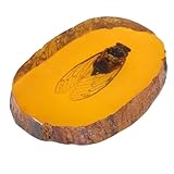 IMIKEYA Esemplare di Insetto in Pietra D’ambra Artificiale Cicala, Ornamento la Casa Decorativo e Collezione Scientifica, Regalo per Amanti della Natura