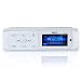 Pyle Bluetooth Marine Stereo Radio - Waterproof/Weather Proof Single DIN 12v Boat Receiver with Digital Color LCD, RCA, MP3/USB, AM FM Radio - Wiring Harness, Remote Control - PLMR15BW (White)
