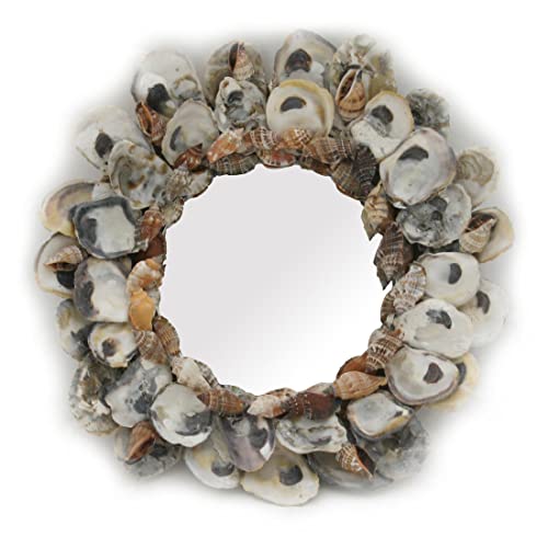 Natural-Oyster-and-Cone-Shell-Frame-Small-Round-Wall-Mirror-95-Inch-Diameter 4115nm4G7JL
