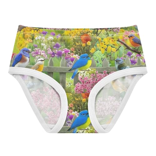 Vibrant Garden Scene Birds Flowers Toddler Underwear Floral 2t Cotton Panties for Girl Cartoon Briefs Undies Kids