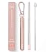 Flyby Portable Reusable Drinking Straws | Collapsible & Foldable Telescopic Stainless Steel Metal Straw Dispenser | Final Aluminum Case, Long Cleaning Brush, Silicone Tip | Rose Gold | 1-Pack