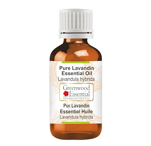 Greenwood Essential Olio essenziale di lavanda naturale (Lavandula ibrida) distillato a vapore 50 ml