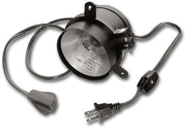 Specialty Lighting Sl2020.2021 40W Ring Mount Can Frost Switch - Black