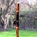 Brazos Rustic Wood Walking Stick, Hickory, Traditional Safari Style Handle, for Men & Women, Made in The USA, 58