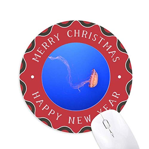 CmNQȊw͎R̎ʐ^ ~`S̃NX}X}EXpbh