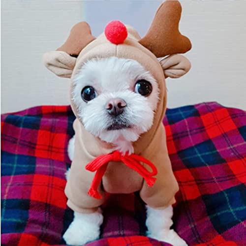 Ropa para perro con diseño de fruta en capucha XS miniatura 6