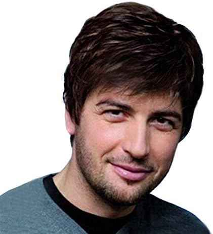 Kashyk Men's Dark Brown Wig,Fashion Wigs Cosplay Short Natural Hair Mixed Dark Brown Handsome Wig Men's (Black)