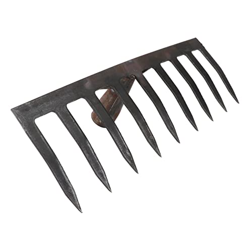 Didiseaon 1pièce Râteau De Jardin Agricole à Dents Outil De Jardinage pour Aérer Et Mélanger Le Sol pour Cultiver Et Entretenir Le Gazon Foncé