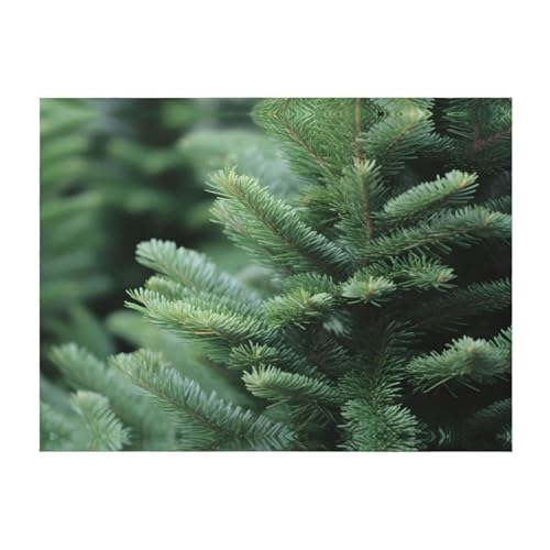 POEZJZW Manta de franela con patrón de hojas de pino de árbol de 50 x 40 pulgadas, para sofá, cama, noche de cine, campamento y viajes