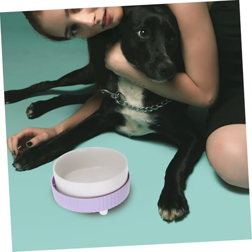 Fuente de agua cerámica para gatos con calefacción miniatura 6