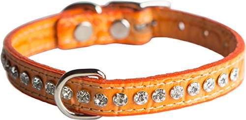 Image of Signature Leather Crystal Dog Collar, Orange Crocodile Grain Leather, Fits 9.5 inch-11.5 inch Neck Size, 14 inch Overall Length