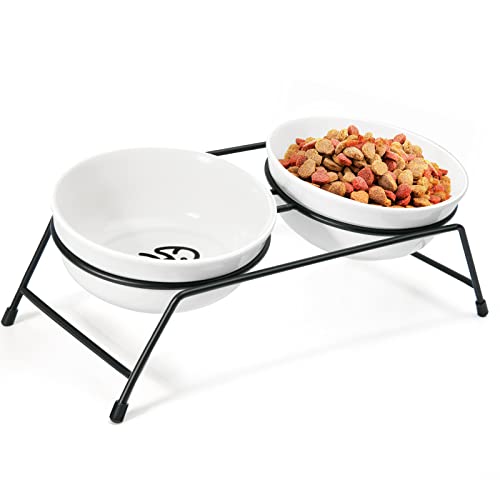 10 Best Dog Foods to Help Stop Vomiting in its Tracks Your Ultimate Buying Guide Furry Folly