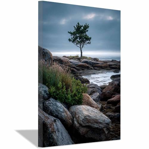Affiche murale lone tree XENIOU poster paysage deco 40x60cm encadrée