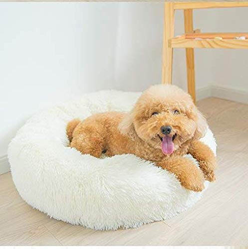 Gavenia Cat Beds for Indoor Cats,23.6’’x23.6’’ Washable Donut Cat and Dog Bed,Soft Plush Pet Cushion,Waterproof Bottom,Fluffy Dog and Cat Calming and Self Warming Bed for Sleep Improvement,White