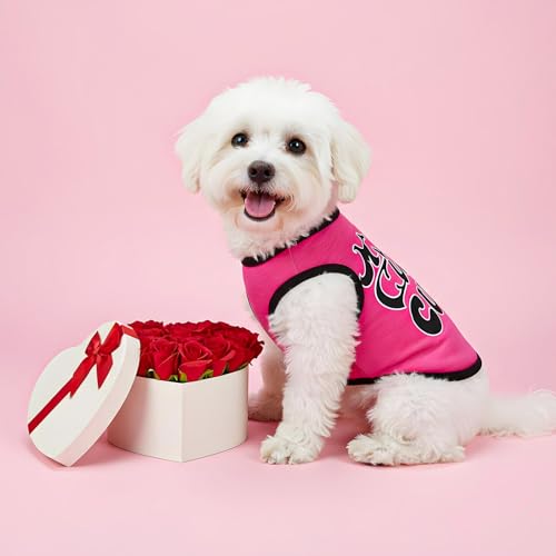 4 Stück Chihuahua-Kleidung, süße Hundehemden Mädchen, für kleine Hunde, weich, bequem, rosa, XXS, Hundekleidung, Haustierkleidung, Hemd für Teacup-Hunde, Yorkies, Welpen, Kätzchen