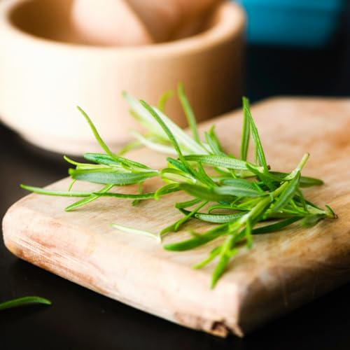 Image of Olive & Vine Ground Rosemary, Earthy & Piney Flavor, Seasoning for Roasts, Soups, and Stews, With Rich Tradition, Authentic Taste, For Global Recipes (2.64 Ounce)