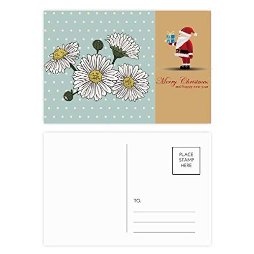 Cartes postales chrysanthèmes Père Noël blanches | Idée cadeau lot de 20 pour passionnés