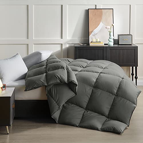 WEIYU Goose Down Comforter Twin Size - Fluffy Soft Luxury All Season Down Feather Comforter Medium Warmth Duvet Insert Twin 36 Oz (68x90, Grey)