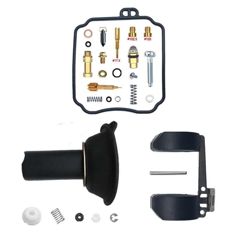 Kit Réparation Carburateur VL125 pour Résoudre Fuite Essence et Ralenti Instable