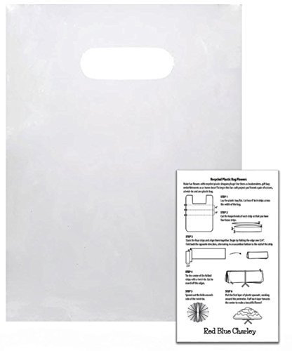 Plastic Shopping Bags | 100 Pack | Handle Bag for Retail | 1 Craft Insert … (Clear - 9x12)
