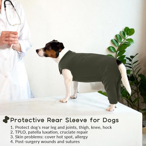 Body für Hunde Nach Op, Leckschutz Body Nach Op Hündin Beinschutz Hunde Hinterbeine Hinterbeinschützer Hund Liegeschwielen Schutz Recovery Suit Hundebody mit Reißverschluss Hinten(Moosgrün, L)