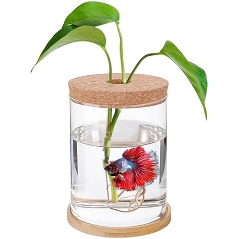 Biggun Small Betta Fish Tank Cover