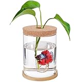 Desktop Fish Bowl Glass- Small Betta Fish Tank with Lid, Clear Hydroponic Plant Propagation Station for Home Office, Plant Lovers Gifts for Women Mom (Straight-Shaped, 4.7' x 6.7')