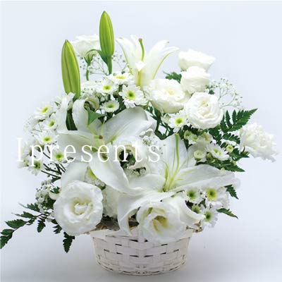メモリアル アレンジ ホワイト M お供え (HM)生花 花 お悔やみ 供花 命日 四十九日 葬式 家族葬 (最短でお届け) フラワーギフト 仏花 法事 お彼岸 お仏壇 ペット