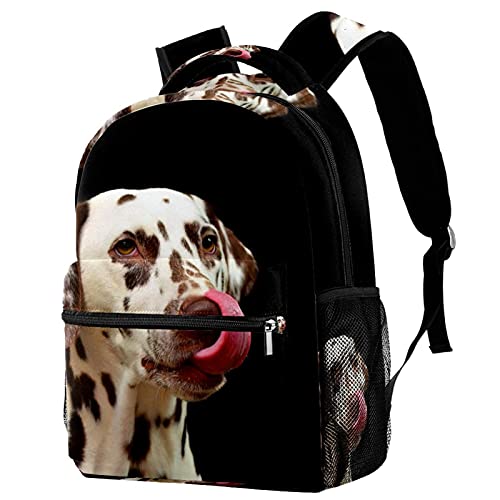 Sac à dos de voyage Dalmatiens : fini les fuites d'eau dans le sac