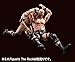 Bandai Tamashii Nations S.H. Figuarts Stone Cold Steve Austin 