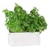 9OR3W 9970 Compact Self Watering Herb and Greens Planter, Original, White