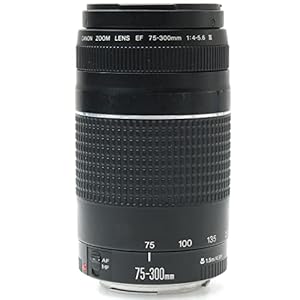 Canon EF 75-300mm f/4-5.6 III Telephoto Zoom Lens Black