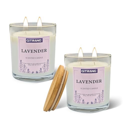 GITRANG Lavender Scented Candle, 22oz Soy Wax Candles for Home