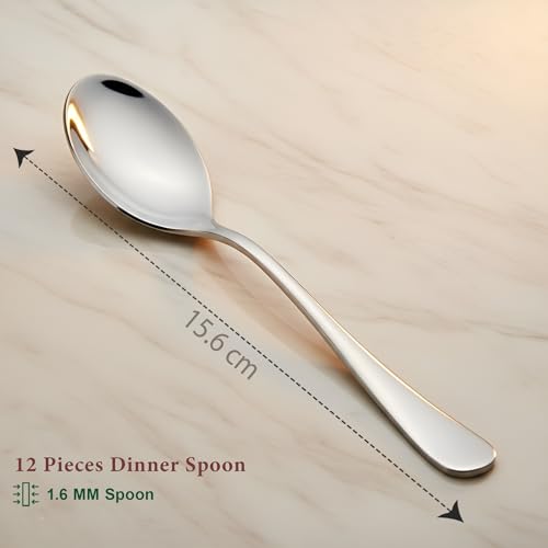 Stainless Steel Table Spoon for Tea, Coffee, Sugar & Spices | Spoon Set | Cutlery | Steel Spoons - Set of 12 Spoons with Round Edge