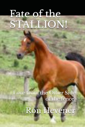 Fate of the Stallion