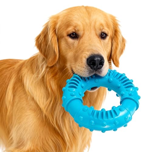 PDirat Hundespielzeug Unzerstörbar, Spielzeug Hund Unzerstörbar, Robustes Kauspielzeug, Natürlicher Gummi Hundespielzeug Zur Zahnpflege und Stressabbau für Kleine, Mittlere & Große Hunde(13cm)