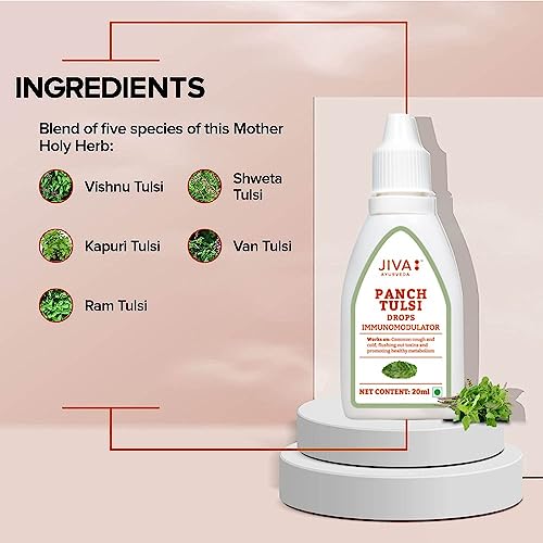 Jiva Tulsi Drops - 20 ml | 100% Ayurvedic Formulation Made Of Five Species Of Tulsi | Detox The Body, Boost 5X Immunity & Promote Healthy Metabolism | Prevents Cough, Cold & Viral Fever (Pack of 2)
