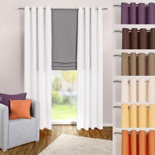 heimtexland ® Tenda con occhielli, in lino, colore bianco trasparente, 245 x 140 cm, modello 708