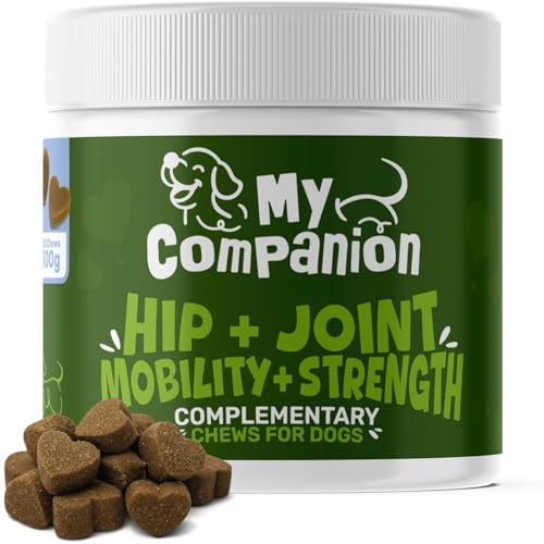 MyCompanion Hip & Joint Supplement for Dogs – Glucosamine, Turmeric & MSM – Supports Mobility, Flexibility & Joint Health – 120 Chicken Flavour Chews, 300g