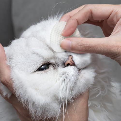 Eye Envy Tear Stain Wipes for Cats | Textured to Gently Clean, Treats The Cause of Staining | 100% Natural Formula | Recommended by Persian & Exotic Breeders, Vets, Groomers | 60 Ct - Image 7