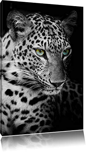 Fermer tête de léopard noir / blanc Taille: 80x60 sur toile, XXL énormes Photos complètement encadrée avec civière, impression d'art sur murale avec cadre, moins...